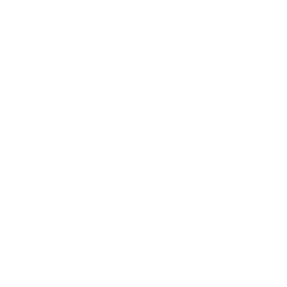 The British School of Excellence seal
